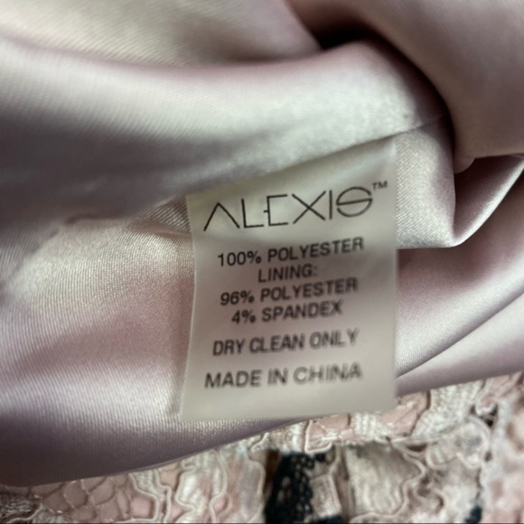 NWT Alexis Mariette Lace Ruffle Dress in Pink Women Size XS - Picture 10 of 10